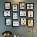 Framed butterfly art collection displayed on a wall with decor. Perfect for modern interiors.